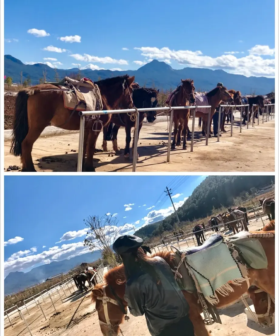 云南旅游必去的景点费用多少_云南旅游攻略及花费_云南旅游花费多少大概多少钱