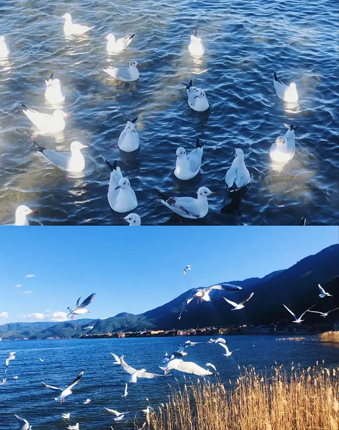 云南旅游花费多少大概多少钱_云南旅游攻略及花费_云南旅游必去的景点费用多少