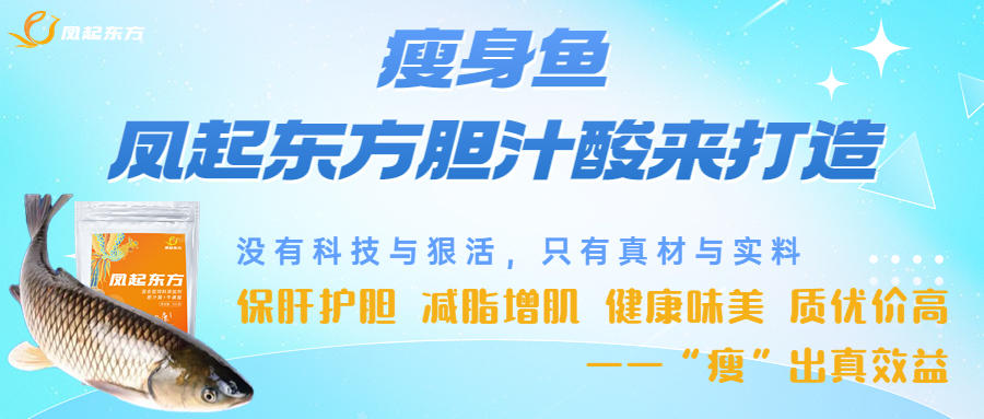 观赏养赚钱鱼怎么养_养观赏鱼赚钱吗_赚钱养鱼什么意思