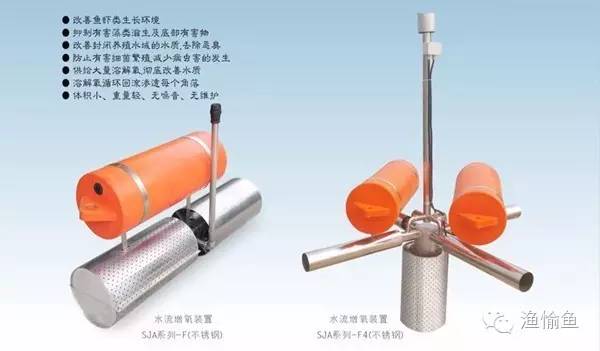 能赚钱的观赏鱼_观赏养赚钱鱼好吗_养观赏鱼赚钱吗