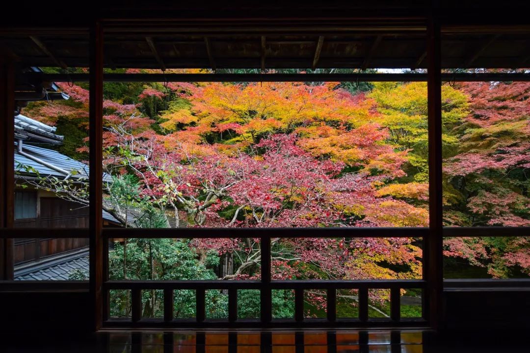 安徽塔川自驾游攻略_安徽塔川旅游攻略_安徽塔川景点介绍