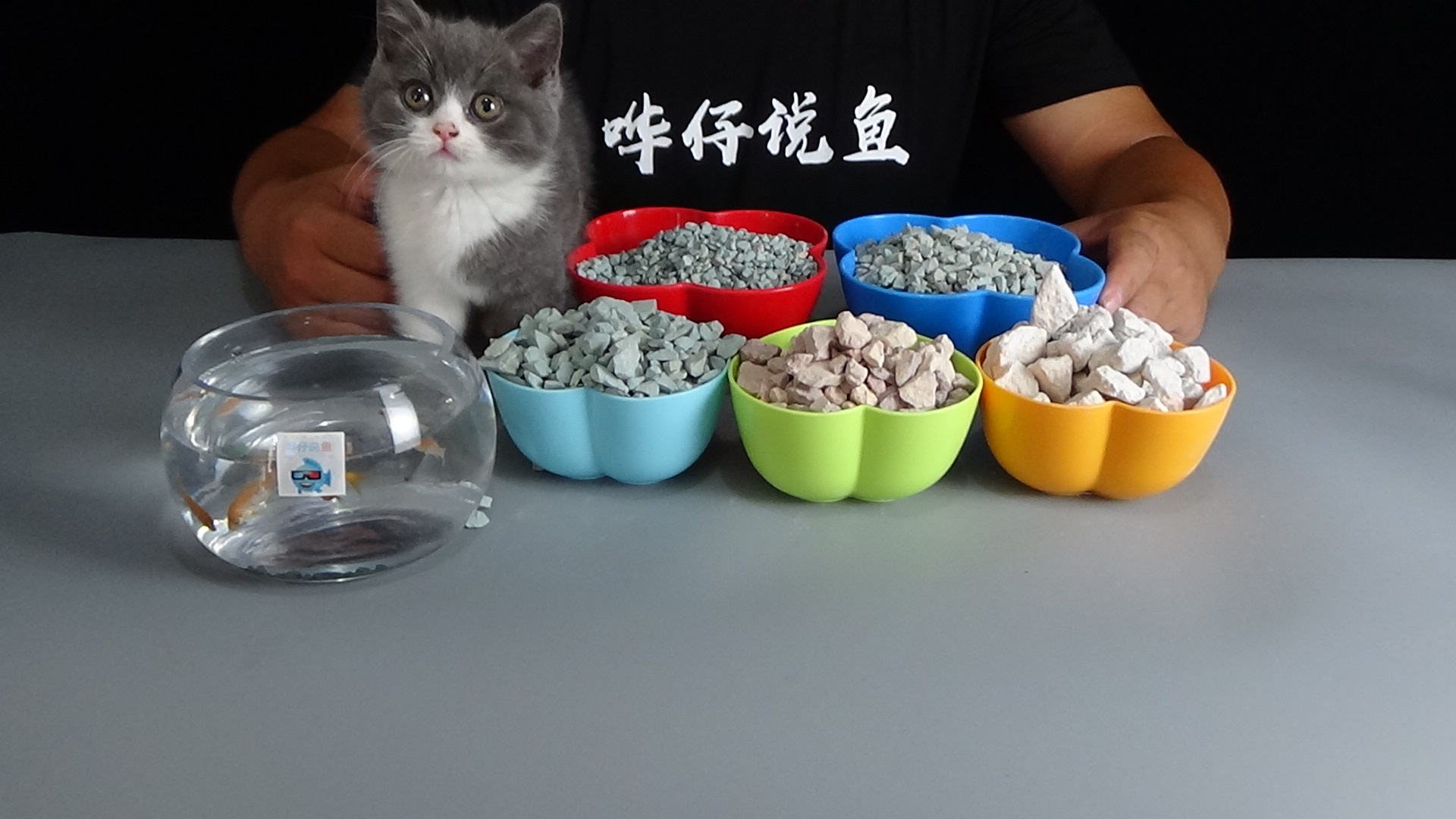 怎样养好观赏鱼_养观赏鱼好处_观赏鱼养鱼