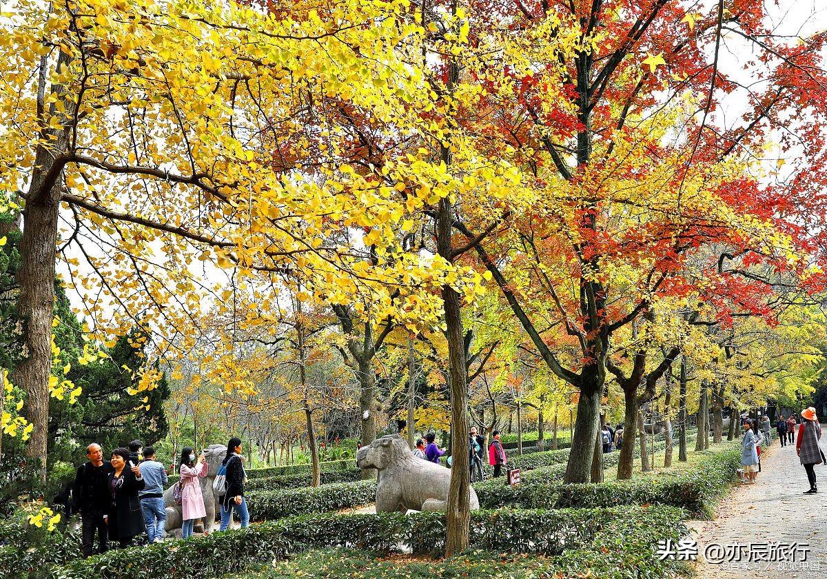 湖北旅游攻略景点必去十处_湖北旅游景点路线_湖北旅行景点