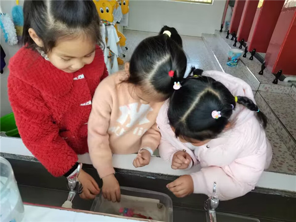 为什么观赏鱼不能吃_观赏鱼吃菠菜有什么好处_观赏鱼吃蚯蚓吗