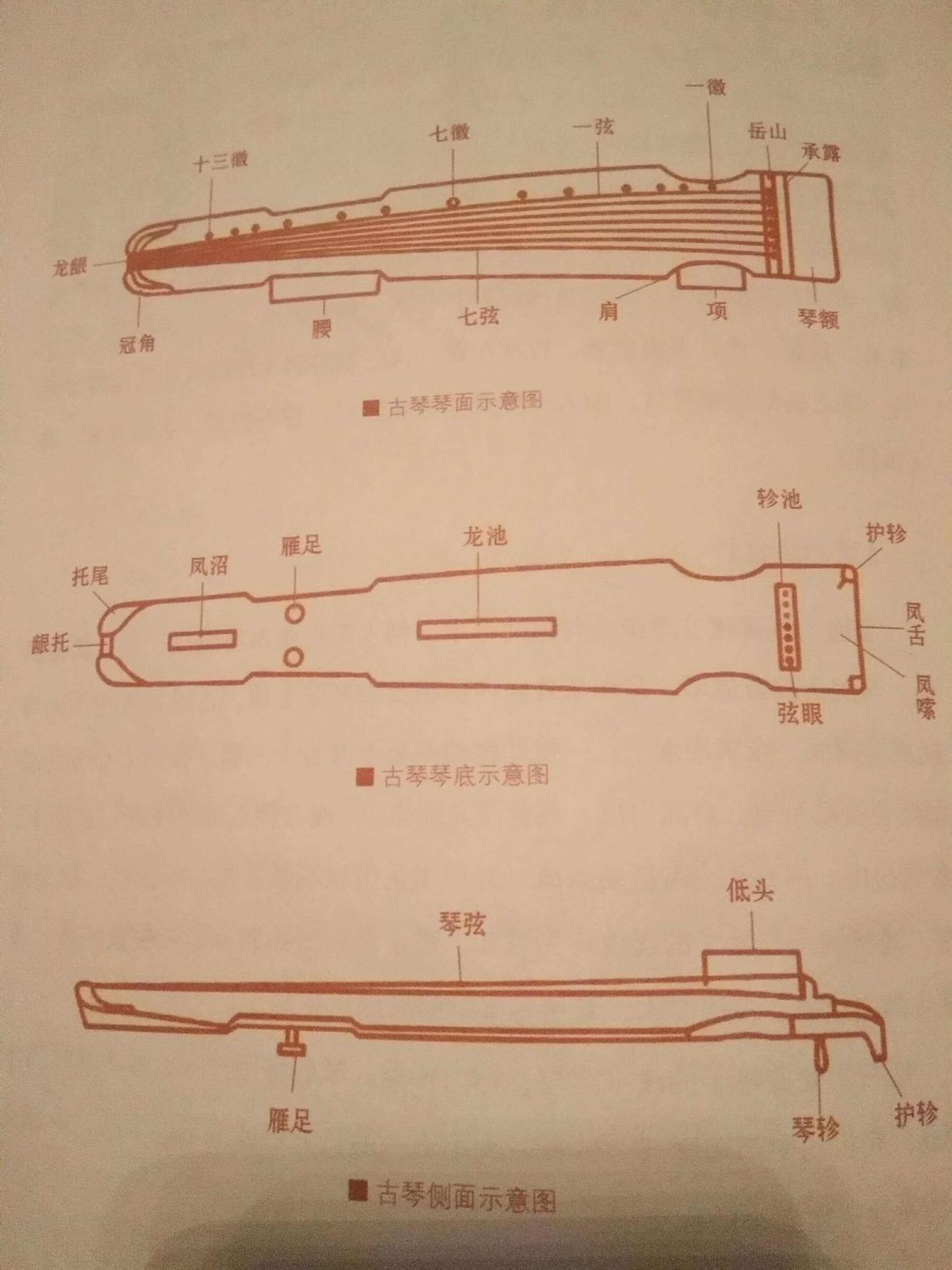 古琴弦位对应的五音_古琴五弦对应的五音_弦古琴对应五音怎么弹