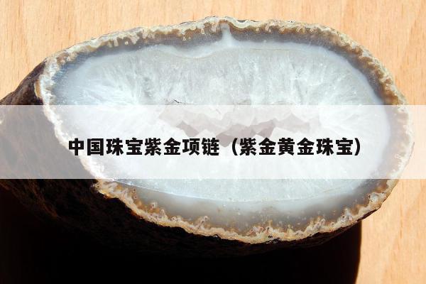 黄金项链多少钱一条_金条项链的寓意_项链黄金钱条图片大全