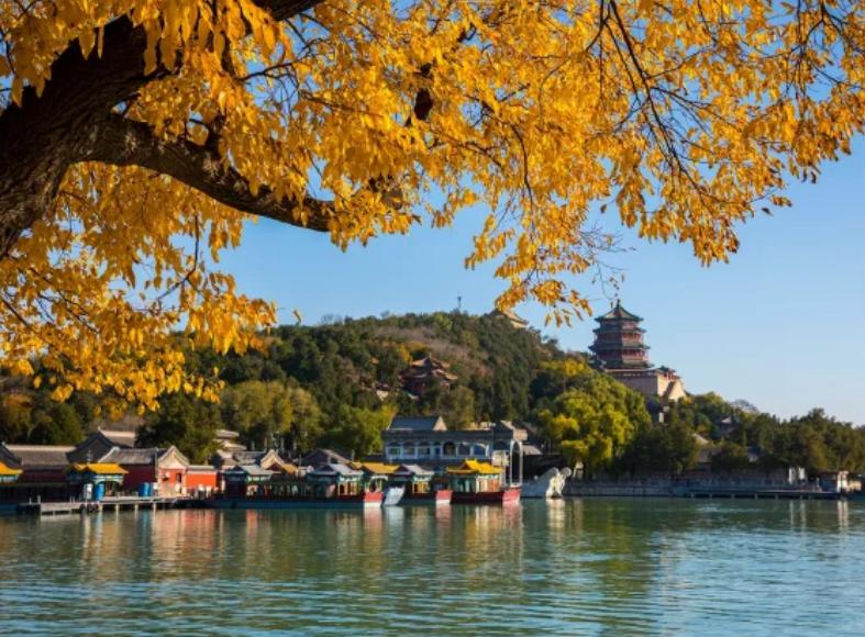 故宫博物院游览路线六年级作文_故宫博物院旅游攻略作文_写一份故宫博物院旅游攻略六年级