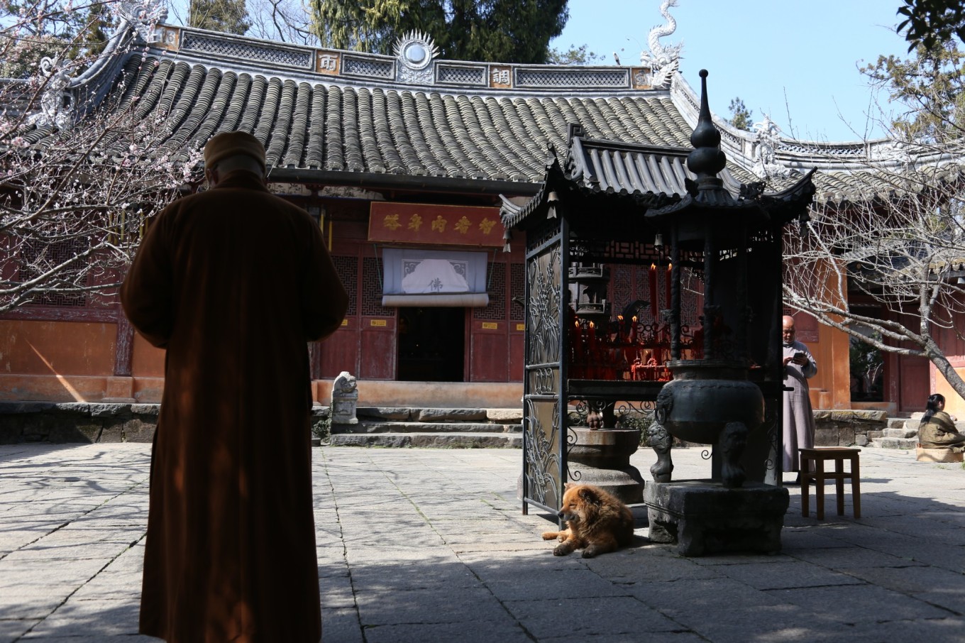 国清寺攻略_国清寺攻略_国清寺攻略