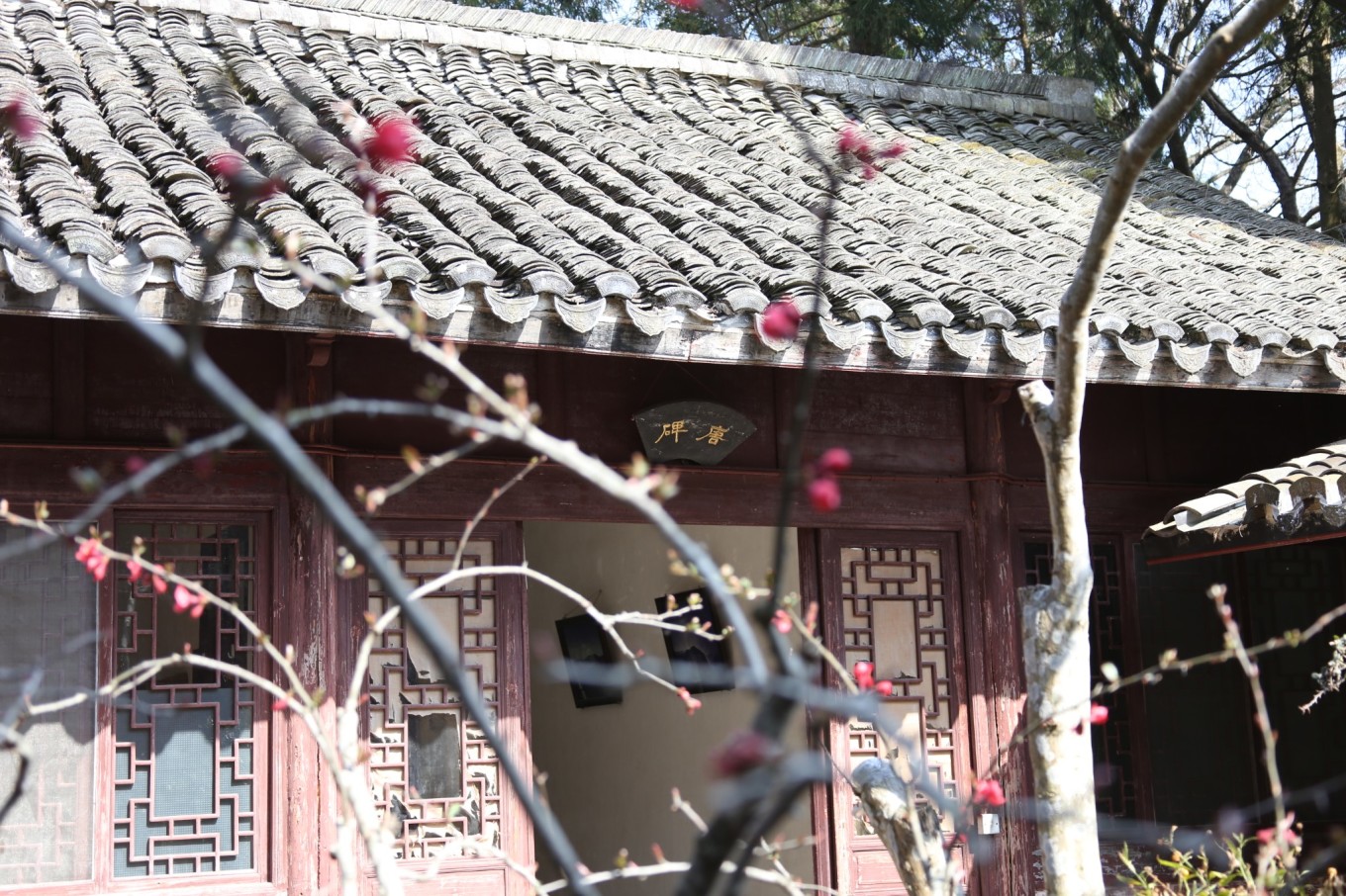 国清寺攻略_国清寺攻略_国清寺攻略