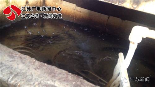 观赏鱼鱼卵几天变小鱼_观赏鱼鱼卵_观赏鱼鱼卵孵化要几天