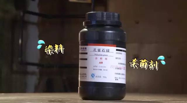 观赏鱼鱼卵几天变小鱼_观赏鱼鱼卵_观赏鱼鱼卵孵化要几天