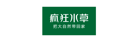 小鱼会吃鱼食吗_观赏鱼会不会吃小鱼_什么观赏鱼会吃其他鱼或小鱼