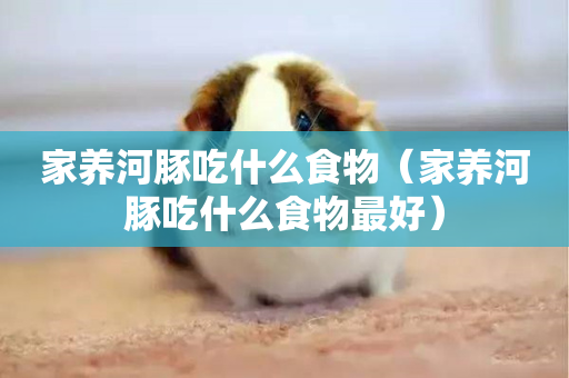 观赏河豚鱼吃灯鱼吗_观赏鱼河豚吃什么_观赏河豚鱼吃什么
