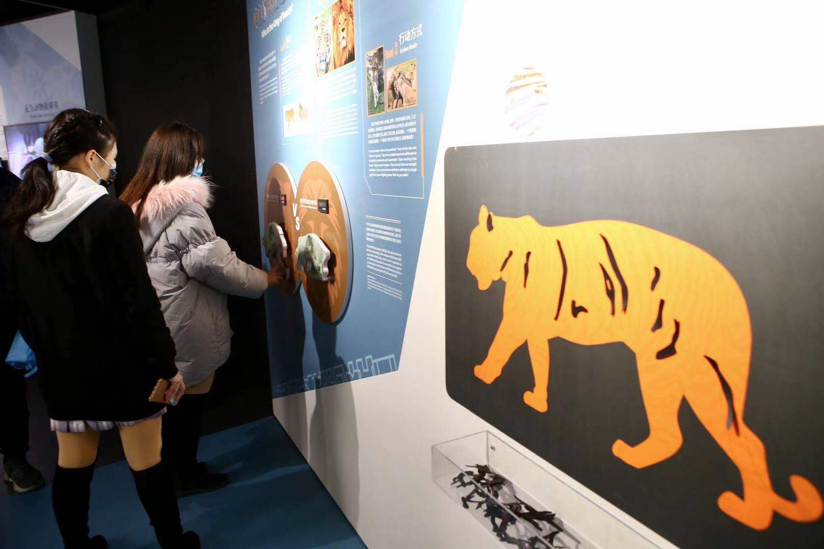 天文展厅设计_天文馆展厅介绍_天文展览场景