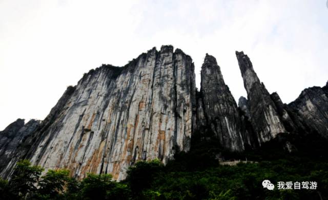 神龙架风景区自驾旅游攻略_神龙架自驾游路线_神龙架自驾危险吗