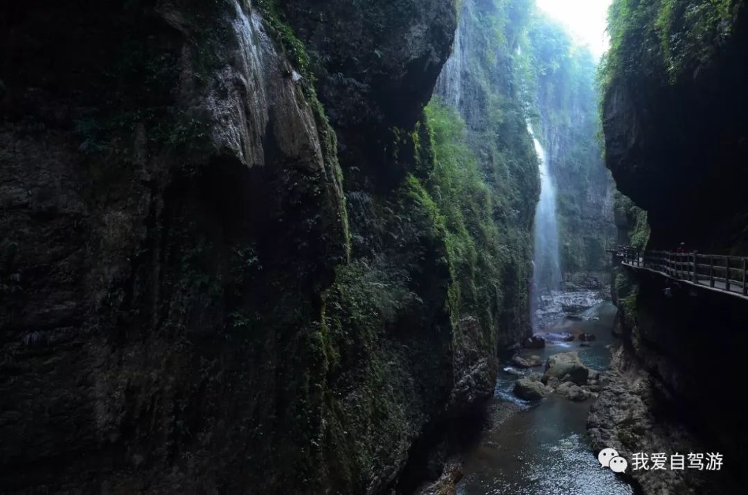 神龙架自驾游路线_神龙架自驾危险吗_神龙架风景区自驾旅游攻略