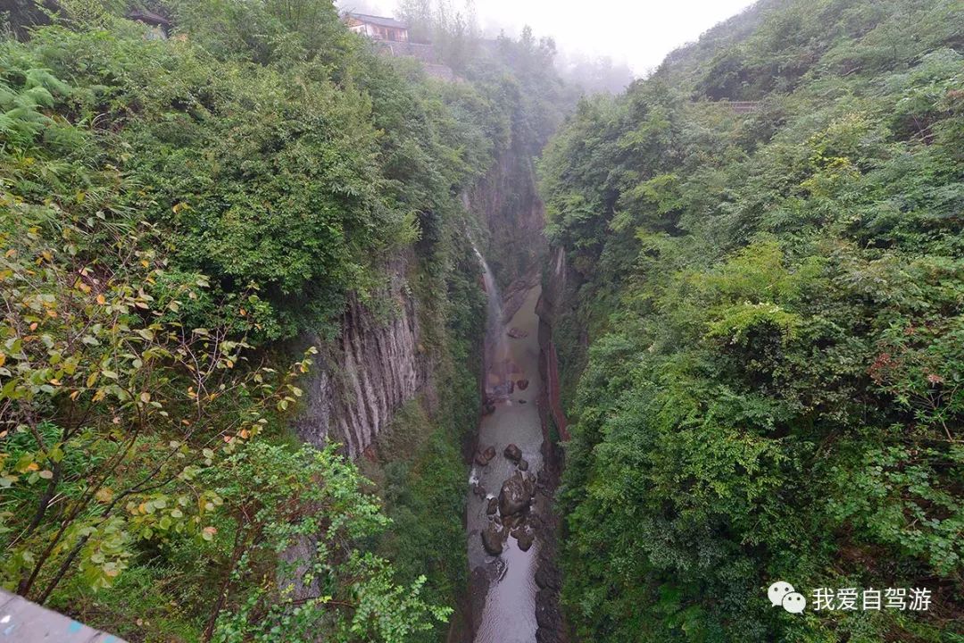 神龙架自驾游路线_神龙架风景区自驾旅游攻略_神龙架自驾危险吗