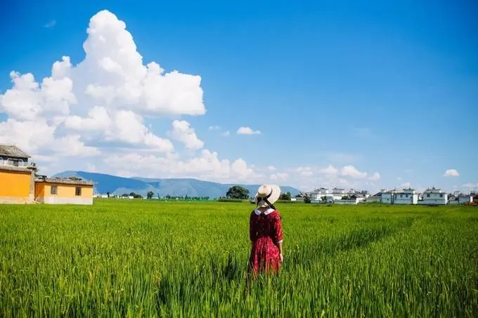 云南省云南旅游攻略_旅游攻略云南省_云南省旅行攻略