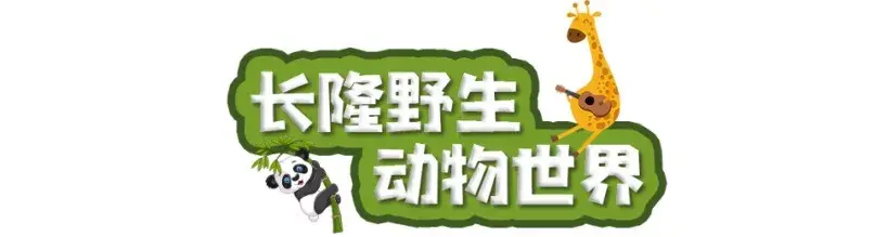 广州长隆欢乐世界去一趟多少钱_去广州长隆欢乐世界攻略_广州长隆欢乐世界离市区多远