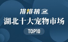 厦门哪里有观赏鱼批发市场_厦门最大的观赏鱼市场_厦门淡水鱼批发市场