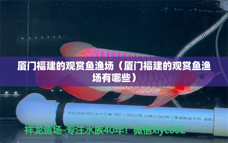 长春观赏鱼鱼友群_长春观赏鱼批发_长春观赏鱼