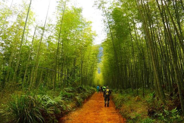 从化溪头露营基地_从化溪头村露营旅游攻略_从化溪头村徒步路线