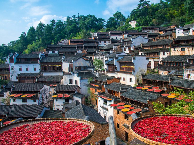 婺源旅游一日攻略_婺源攻略一日游旅游_攻略日游婺源旅游路线